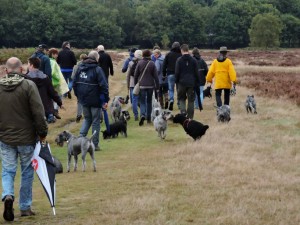 wandeling13