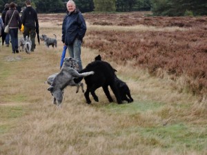 wandeling14