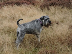 wandeling18