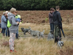 wandeling21