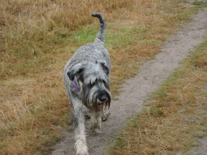 wandeling22