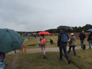wandeling28