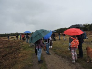 wandeling29