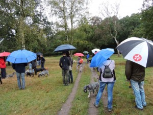 wandeling31