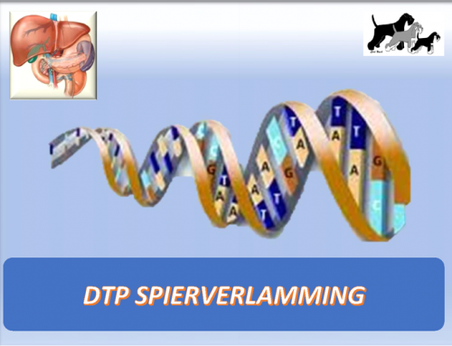 D.T.P. Spierverlamming