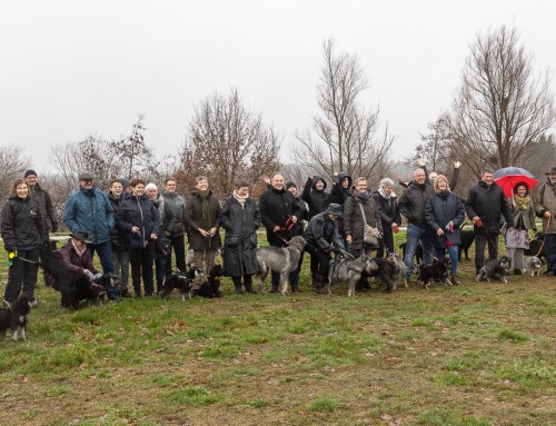 Zondag 13 januari was het hondenweer en natuurlijk ging de Nieuwjaarswandeling door