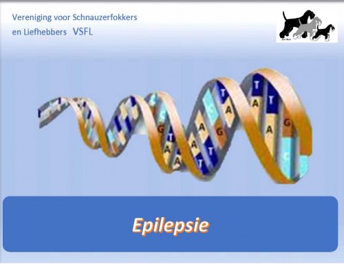 Epilepsie